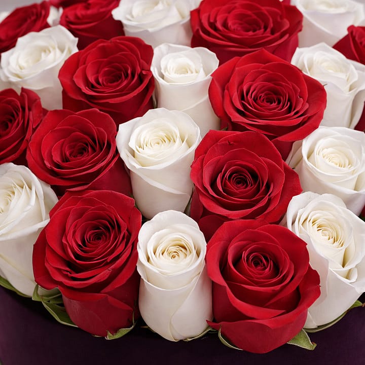 Are Rojas Caja Negra de Rosas Rojas y Blancas en México, México | Florerias ...